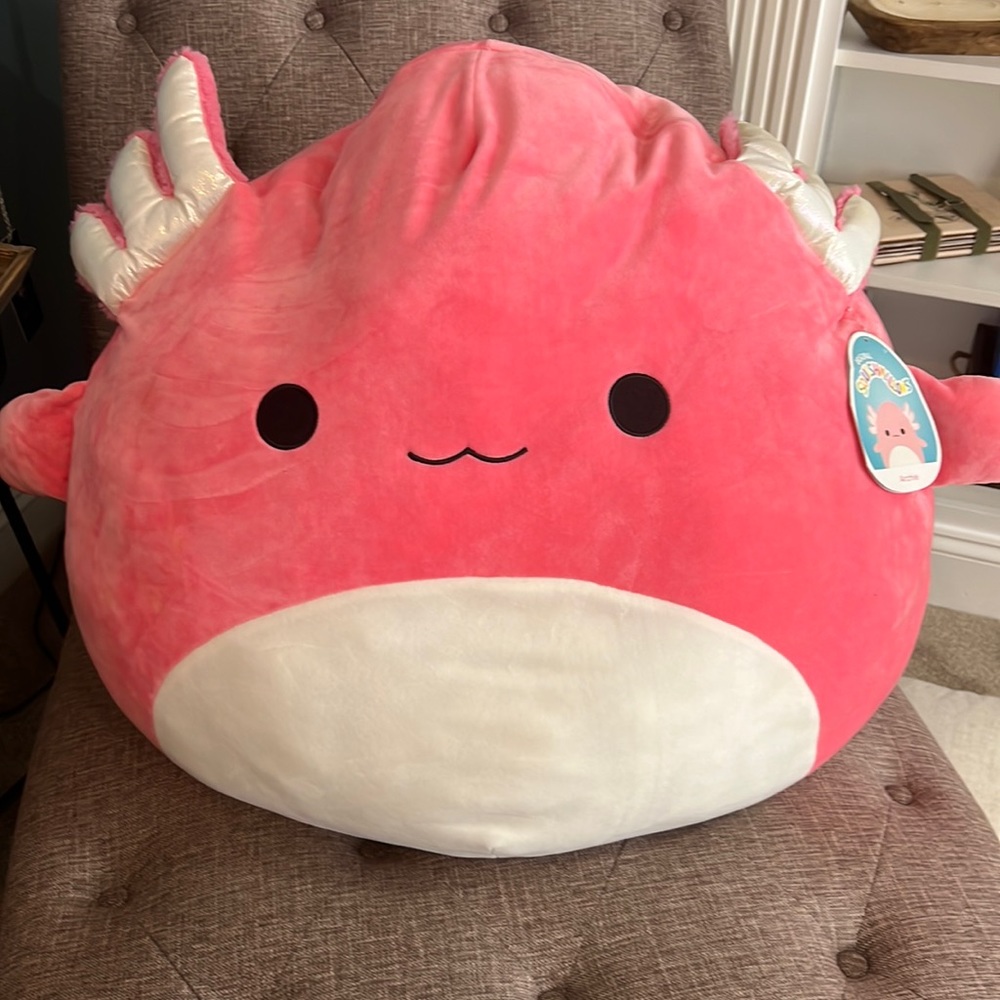 Jumbo Archie 24 inch squishmallow - rare nwt